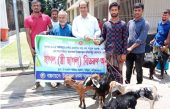 নড়িয়ায় মৎস্যজীবীদের মাঝে ছাগল বিতরণ